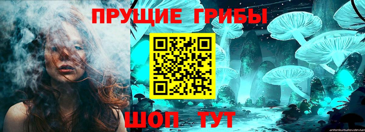 Галлюциногенные грибы Magic Shrooms  Вход с VPN  продажа наркотиков  Лесосибирск 